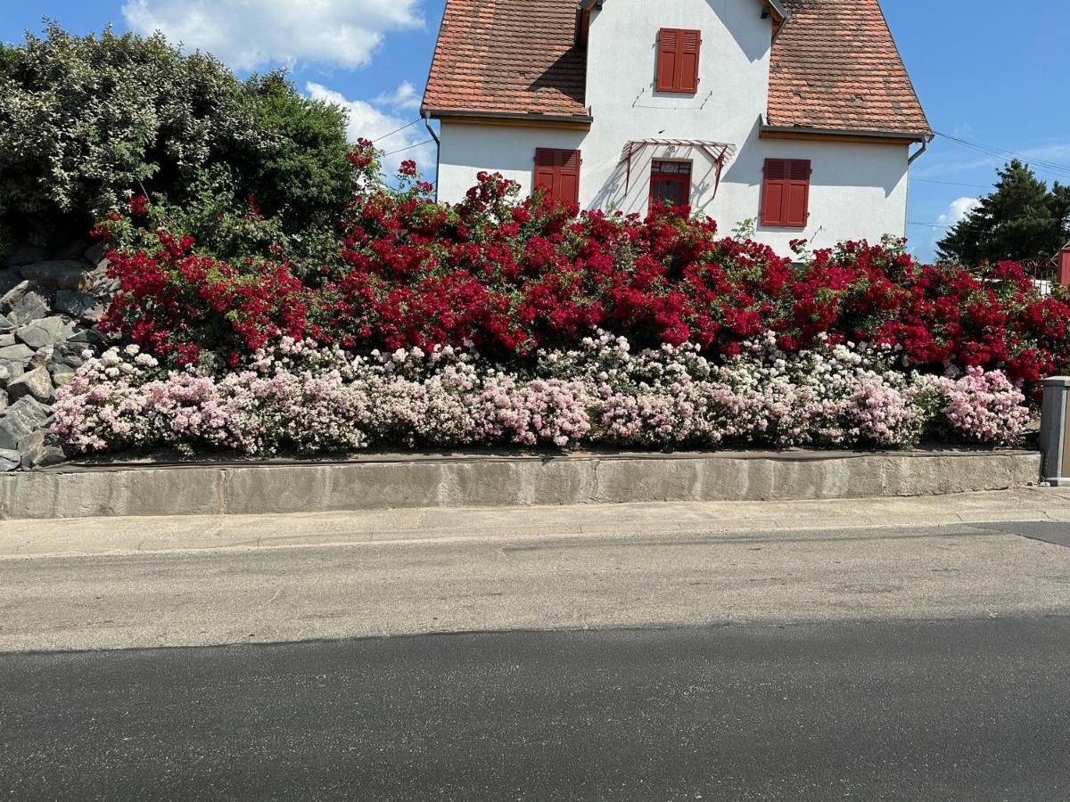 Au Parfum Des Roses Apartamento Gunstett Exterior foto