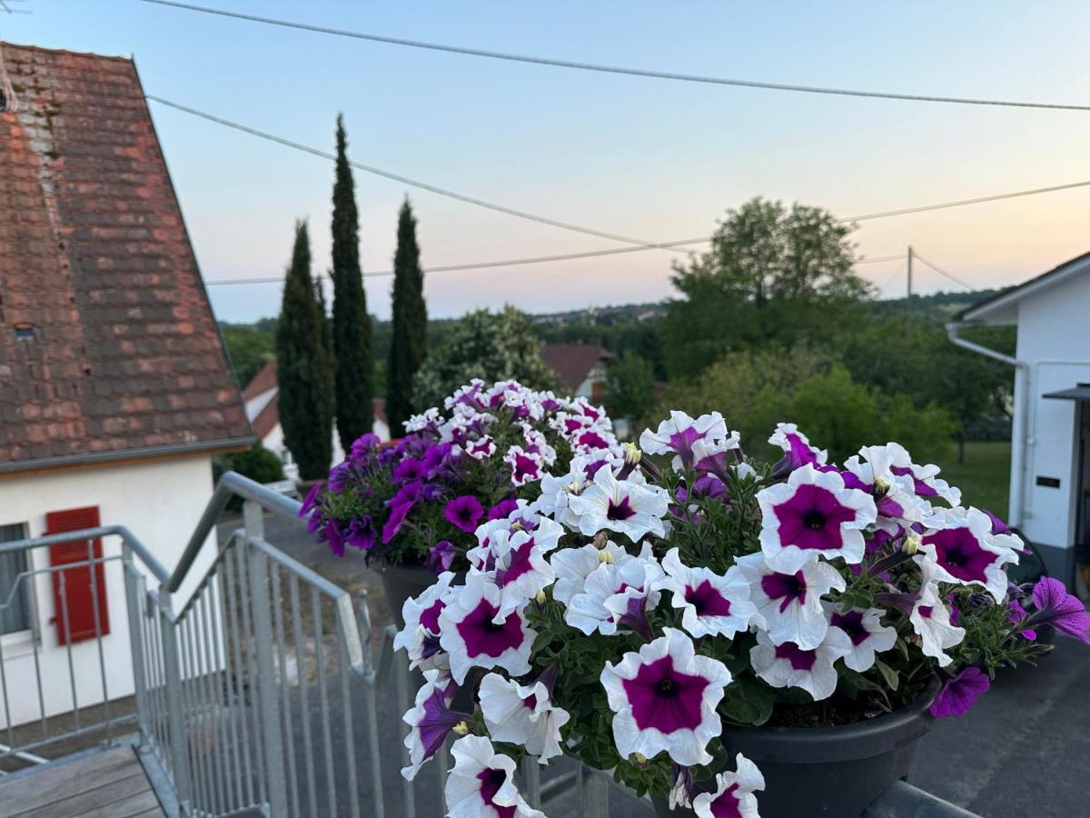 Au Parfum Des Roses Apartamento Gunstett Exterior foto
